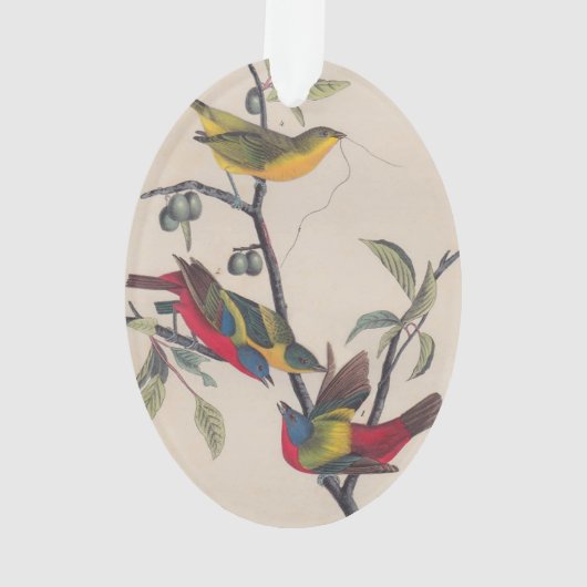 Audubon Painted Bunting Bird Wildlife Ornament (achterkant)