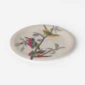 Audubon Painted Bunting Bird Wildlife Papieren Bordje (Gekanteld)