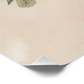 Audubon Painted Bunting Bird Wildlife Perfect Poster (Hoek)