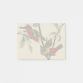 Audubon Painted Bunting Bird Wildlife Post-it® Notes (Voorkant)
