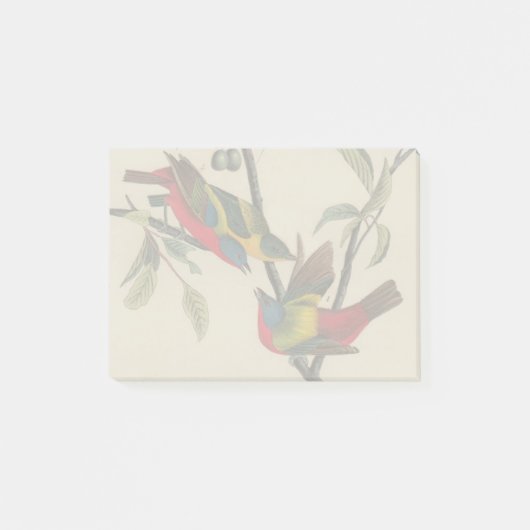 Audubon Painted Bunting Bird Wildlife Post-it® Notes (Voorkant)