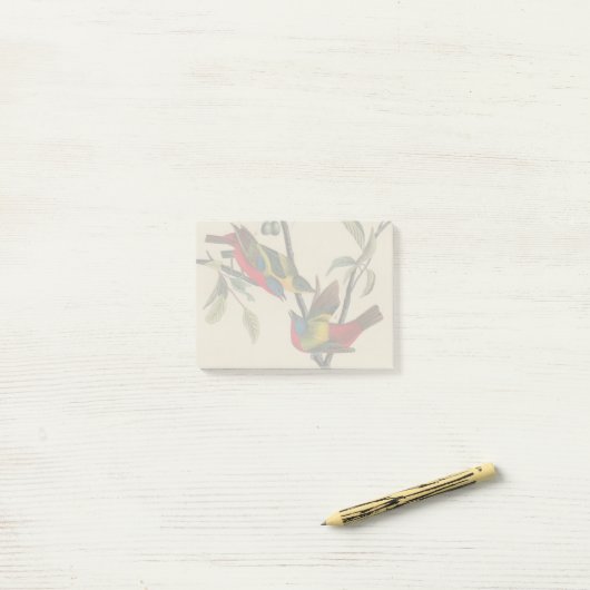 Audubon Painted Bunting Bird Wildlife Post-it® Notes (Op bureau)
