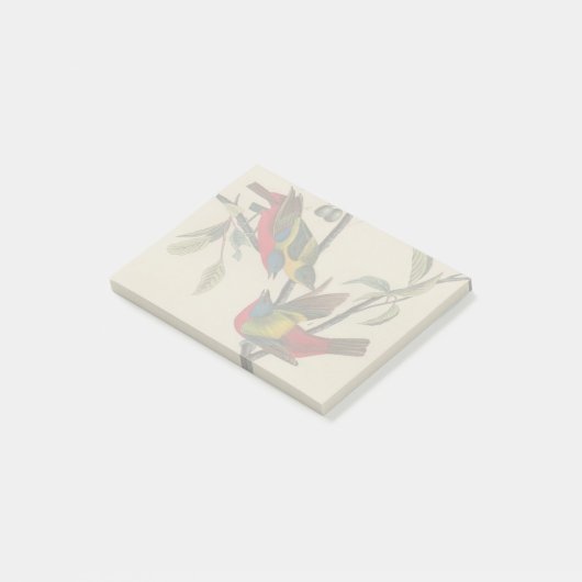 Audubon Painted Bunting Bird Wildlife Post-it® Notes (Schuin)