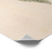 Audubon Painted Bunting Bird Wildlife Poster (Hoek)