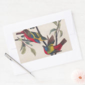 Audubon Painted Bunting Bird Wildlife Rechthoekige Sticker (Envelop)