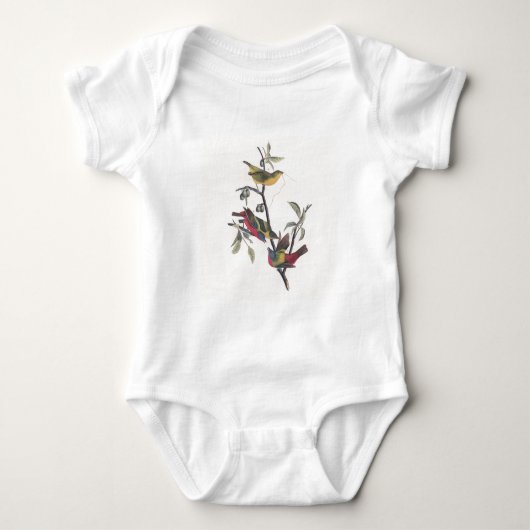 Audubon Painted Bunting Bird Wildlife Romper (Voorkant)