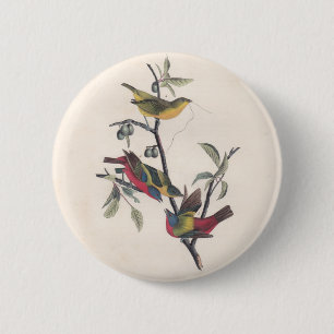 Audubon Painted Bunting Bird Wildlife Ronde Button 5,7 Cm