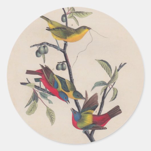 Audubon Painted Bunting Bird Wildlife Ronde Sticker (Voorkant)