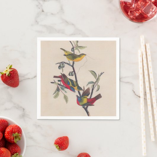 Audubon Painted Bunting Bird Wildlife Servetten (Insitu)