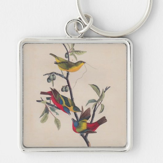 Audubon Painted Bunting Bird Wildlife Sleutelhanger (Voorkant)
