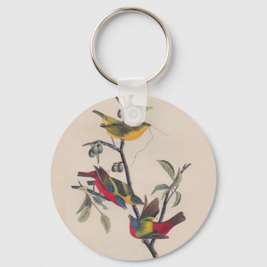 Audubon Painted Bunting Bird Wildlife Sleutelhanger (Voorkant)