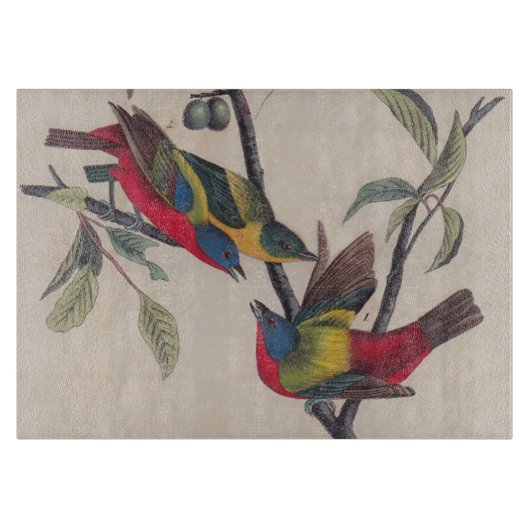 Audubon Painted Bunting Bird Wildlife Snijplank (Voorkant)
