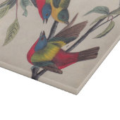 Audubon Painted Bunting Bird Wildlife Snijplank (Hoek)