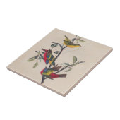 Audubon Painted Bunting Bird Wildlife Tegeltje (Zijkant)