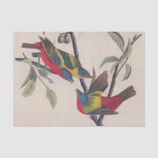Audubon Painted Bunting Bird Wildlife Tissuepapier