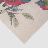 Audubon Painted Bunting Bird Wildlife Tissuepapier (Detail)