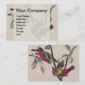 Audubon Painted Bunting Bird Wildlife Visitekaartje (Voorkant / Achterkant)