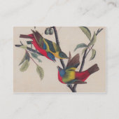 Audubon Painted Bunting Bird Wildlife Visitekaartje (Achterkant)