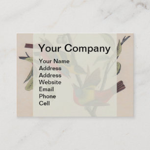 Audubon Painted Bunting Bird Wildlife Visitekaartje