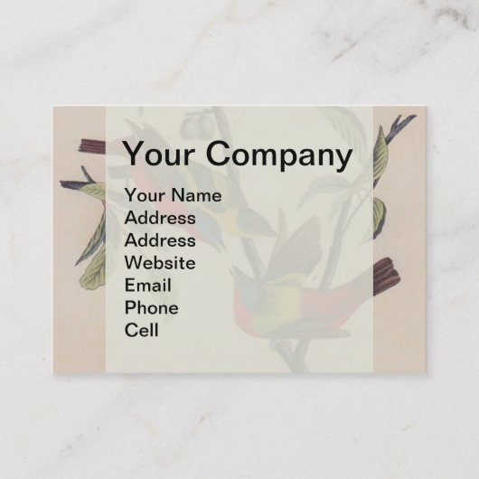 Audubon Painted Bunting Bird Wildlife Visitekaartje (Voorkant)