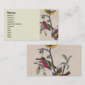 Audubon Painted Bunting Bird Wildlife Visitekaartje (Voorkant / Achterkant)