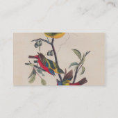 Audubon Painted Bunting Bird Wildlife Visitekaartje (Achterkant)