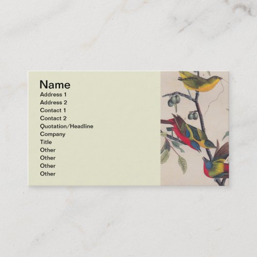 Audubon Painted Bunting Bird Wildlife Visitekaartje (Voorkant)