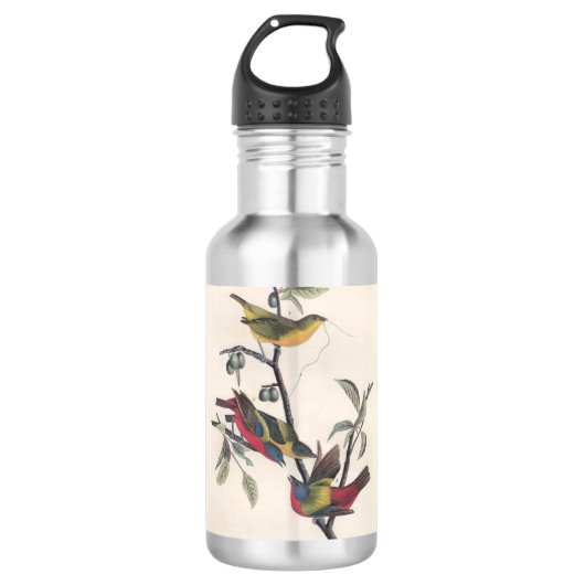 Audubon Painted Bunting Bird Wildlife Waterfles (Voorkant)
