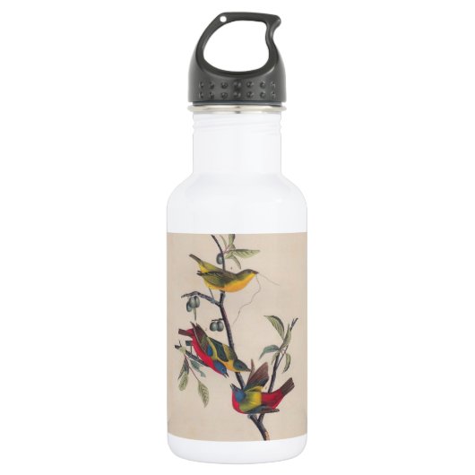 Audubon Painted Bunting Bird Wildlife Waterfles (Voorkant)