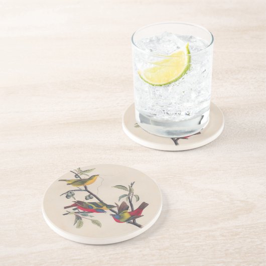 Audubon Painted Bunting Bird Wildlife Zandsteen Onderzetter (Zijkant)