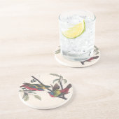 Audubon Painted Bunting Bird Wildlife Zandsteen Onderzetter (Zijkant)