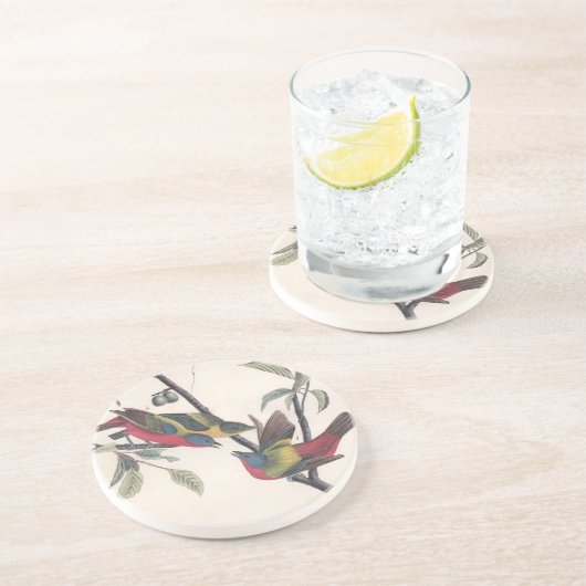 Audubon Painted Bunting Bird Wildlife Zandsteen Onderzetter (Zijkant)