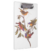 Audubon Painted Bunting Birds in a Cherokee Plum Klembord (Rechts)