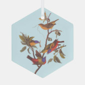 Audubon Painted Bunting Birds is Wild Plum Tree Glas Ornament (Achterkant)
