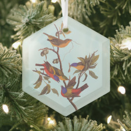 Audubon Painted Bunting Birds is Wild Plum Tree Glas Ornament