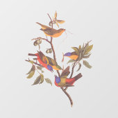 Audubon Painted Bunting Birds is Wild Plum Tree Raamsticker (Vel)