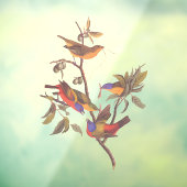 Audubon Painted Bunting Birds is Wild Plum Tree Raamsticker (Vel 3)