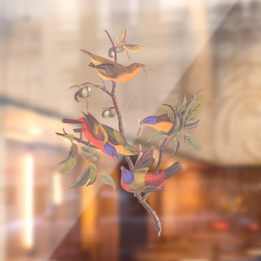 Audubon Painted Bunting Birds is Wild Plum Tree Raamsticker (Vel 2)