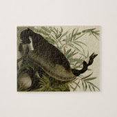 Audubon Painting Canada Goose Legpuzzel (Horizontaal)