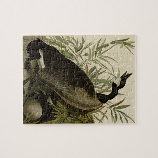  Audubon Painting Canada Goose Legpuzzel (Horizontaal)