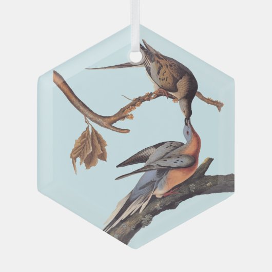 Audubon Pair van het zogende reizigersverkeer Glas Ornament (Voorkant)