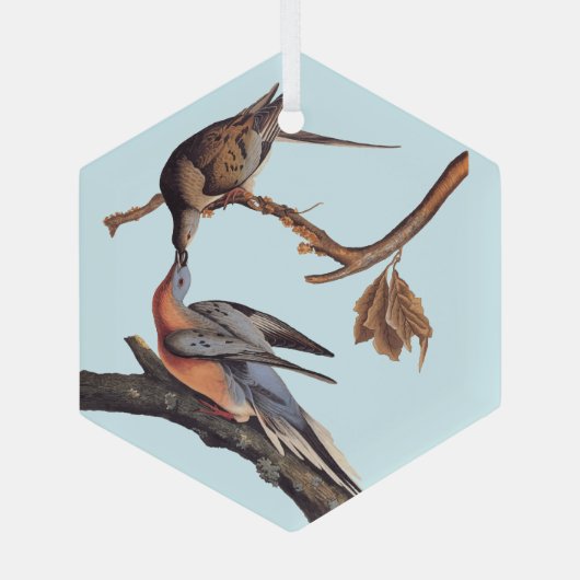 Audubon Pair van het zogende reizigersverkeer Glas Ornament (Achterkant)