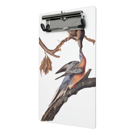 Audubon Pair van het zogende reizigersverkeer Mini Klembord (Angled2)