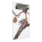 Audubon Pair van het zogende reizigersverkeer Mini Klembord (Schuin)