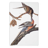 Audubon Pair van het zogende reizigersverkeer Mini Klembord (Achterkant)