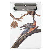 Audubon Pair van het zogende reizigersverkeer Mini Klembord (Voorkant)