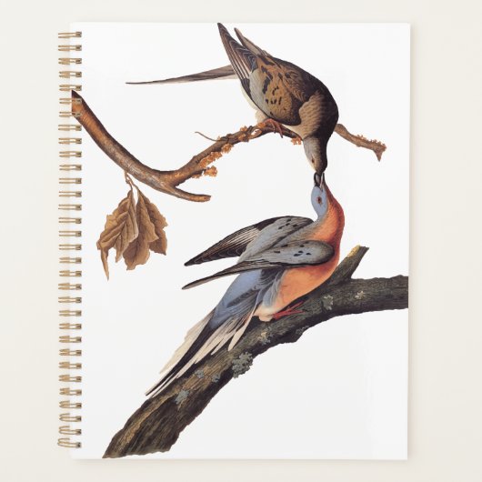 Audubon Pair van het zogende reizigersverkeer Planner (Voorkant)