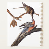 Audubon Pair van het zogende reizigersverkeer Planner (Achterkant)