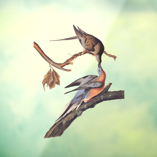 Audubon Pair van het zogende reizigersverkeer Raamsticker (Vel 3)