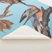 Audubon Pair van het zogende reizigersverkeer Sherpa Deken (3/4)